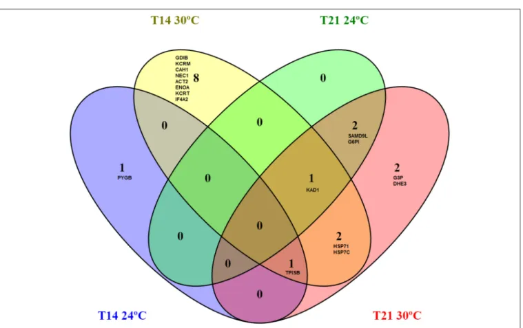 FIGURE 3 | Continued