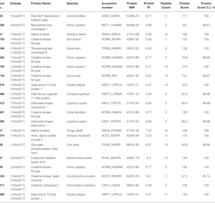 TABLE 1 | Spots differentially expressed between temperature treatments at 14 days of exposure in the muscle of juvenile Sparus aurata.
