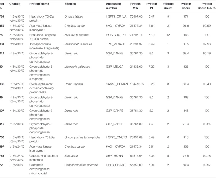 TABLE 2 | Spots differentially expressed between temperature treatments at 21 days of exposure in the muscle of juvenile Sparus aurata.