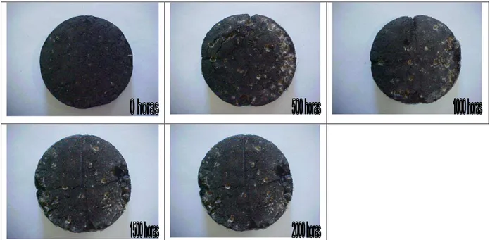 Figura III.6  – Fotos de misturas asfálticas envelhecidas por 0, 500, 1000, 1500 e 2000 horas 