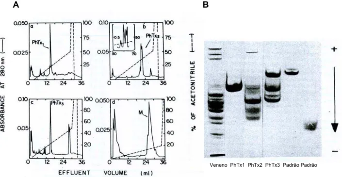 Figura 1: Purificação das frações Tx1 a Tx3 do veneno de Phoneutria  nigriventer: (a) Cromatogramas de RFPLC das frações obtidas do veneno bruto de 