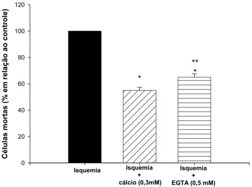 Figura 3: Efeito da redução de cálcio no meio extracelular no processo de  isquemia. As fatias foram submetidas a solução isquêmica com baixa  concentração de cálcio (0,3mM) e na presença de EGTA 0.5mM (quelante de cálcio  externo)