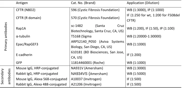 Table 3.3 - List of primary and secondary antibodies used. 
