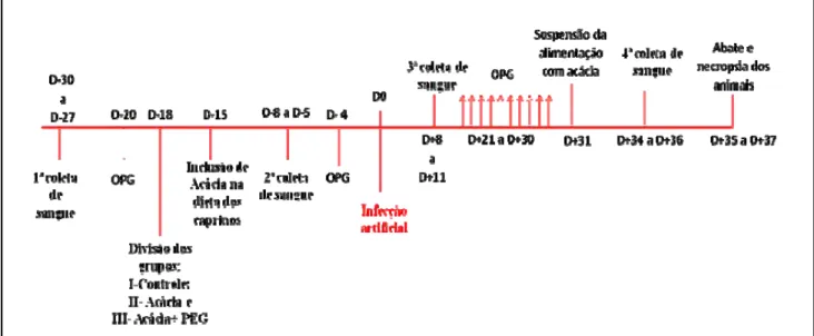 Figura 2 - Delineamento experimental utilizado no estudo. 