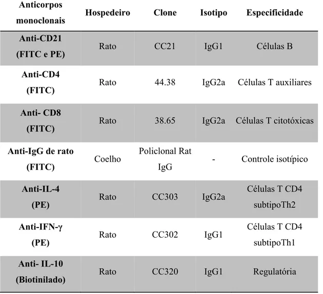 Tabela 3. Painel de anticorpos monoclonais usados na imunofenotipagem de células  mononucleares do sangue periférico de caprinos