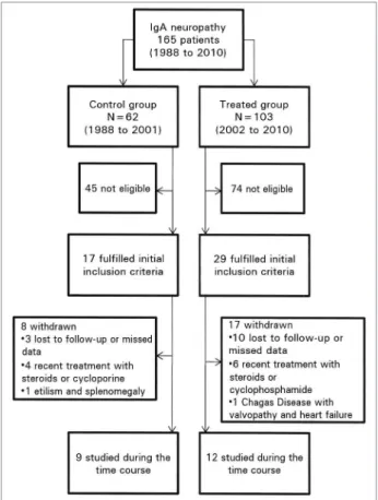 Figure 1. Trial profile of patients with primary IgA nephropathy.