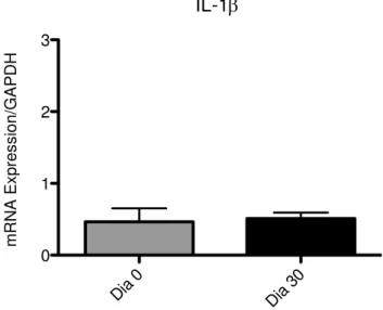 GRÁFICO 4 - Variações nos níveis de IL-1 de G1 e G2 entre os períodos T1 e T2.   TNF-Dia 0Dia 300123mRNA Expression/GAPDH Di a 0 Di a 3 00123IL-1mRNA Expression/GAPDH
