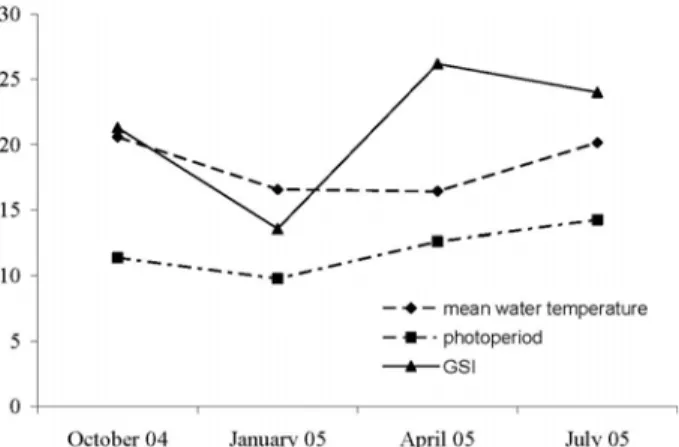 Fig. 5. Water temperature, photoperiod and GSI (average sea surface temperatures) for the period of November 2001 to May 2003 in the geographical area of São Miguel (37E–