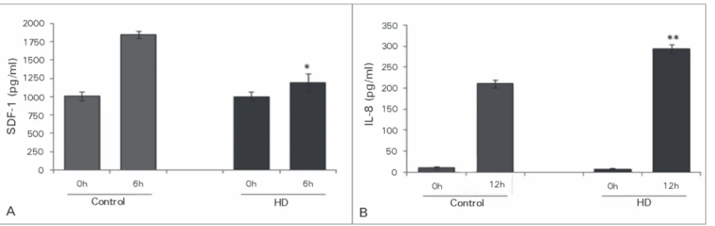 Figure 2. A: In vitro SDF-1 (pg/ml) expression by HUVEC before and after (0 and 6h) treatment in uremic medium (HD)