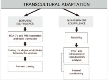 Figure 1. Transcultural adaptation process by semantic and measurement  equivalence.