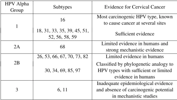 Table 2.1: Human Papillomavirus subtypes associated with cervical cancer. Adapted from [11]