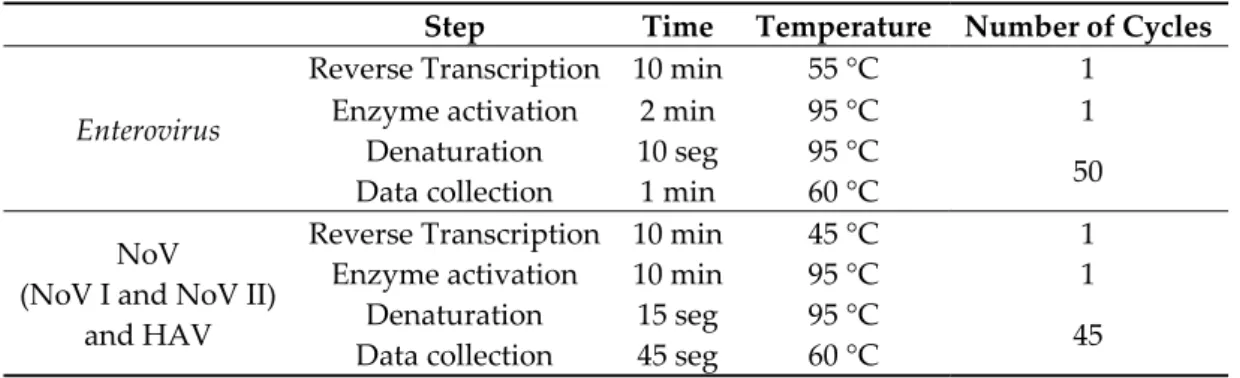 Table 1. RT‐qPCR conditions for detection and quantification of enteric viruses. 