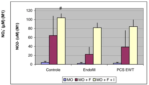 Gráfico  12  -  Produção  de  óxido  nítrico  (NO 2 - )  por  macrófagos  M1  provenientes  de  camundongos 
