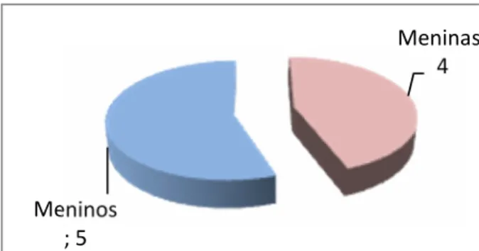 Gráfico 5: Constituição da turma do 3º ano.