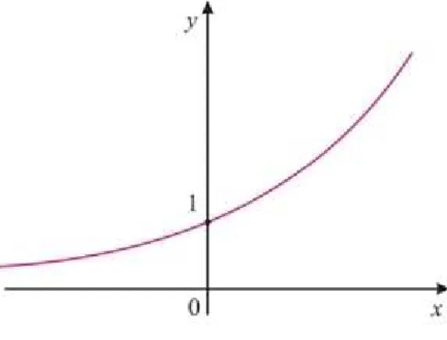 Figura 9: Exponencial com q > 1