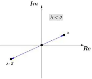 Figura 2.8: M´ ultiplo de z com λ < 0