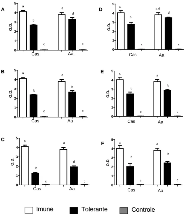 Figura 11: Quantificação de IgG1 anti-OVA em camundongos BALB/c alimentados pela dieta de  Cas e Aa e submetidos aos protocolos de indução de tolerância oral e alergia alimentar