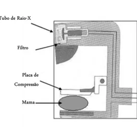 Figura 2.13 Esquema representativo de um equipamento de Mamografia. Adaptado de (33) 