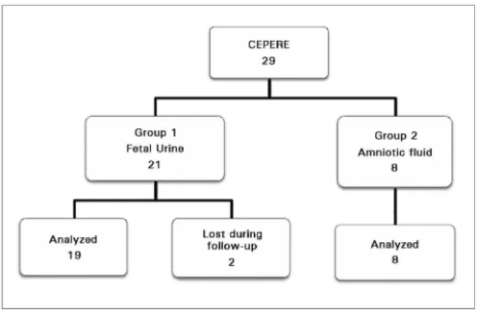Figure 2. Study follow-up flowchart.
