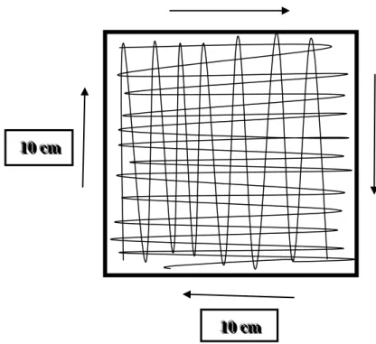 Figura  3 - Esquema ilustrativo da técnica de colheitas  de amostras de superfícies,  com zaragatoa,  numa  área  de  100  cm2,  para  identificação  de  espécies  fúngicas  (as  setas  indicam  o  sentido  do  movimento da zaragatoa na área de amostragem)