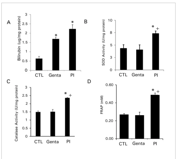 Figure 5. Antioxidant activity in vivo. (A) Bilirubin concentration in units of µg/ml of protein, (B) SOD activity in units of U/mg of protein, (C) catalase  activity in units of U/mg of protein in the kidney, and (D) quantification of the antioxidant frac