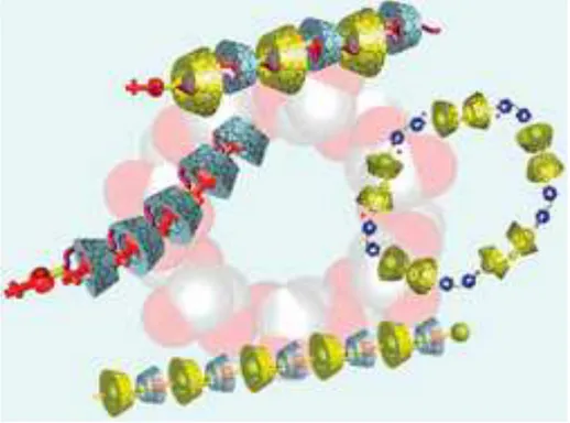 Figura  2:  Formação  de  complexos  supramoleculares  com  ciclodextrinas  mostrando diferentes organizações