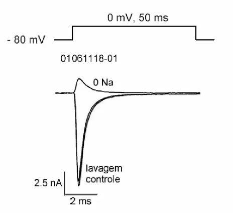 Figura 3: Eficiência do sistema de perfusão celular.  