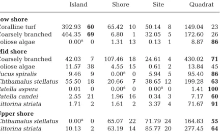 Fig. 3. Mid-shore mean (+ SE) algal cover. Legend as in Fig. 2