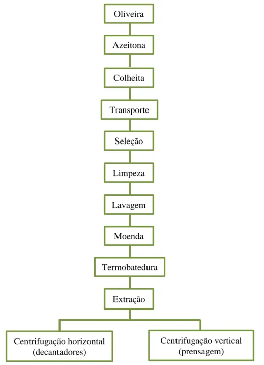 Figura 5. Esquema da produção do azeite, adaptado [11]. 