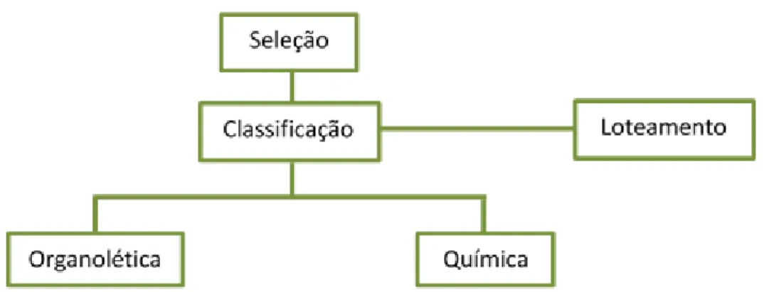 Figura 6. Esquema de produção do azeite, adaptado [11].