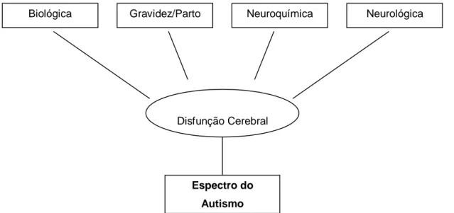 Figura 1: Fatores neurobiológicos associados à origem da síndrome de asperger. 