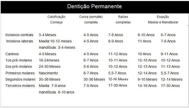 Tabela 1 - Tabela de erupção dentária. Adaptado da Associação Americana de Odontopediatria