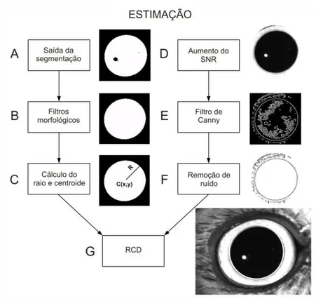 Figura  7:  Fluxograma  dos  dois  algoritmos  utilizados  na  estimação  do  tamanho  da  pupila