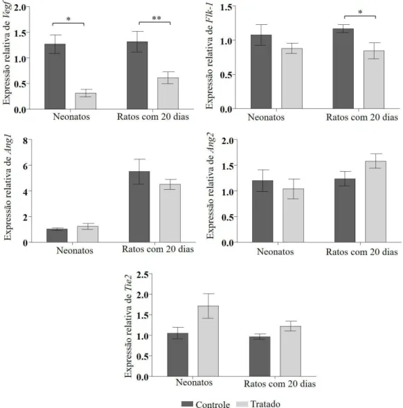 Figura 15. Expressão dos transcritos gênicos para Vegf, Flk-1, Ang1, Ang2 e Tie2 pela técnica de RT-PCR  em tempo real da epífise cartilaginosa de neonatos e na cartilagem articular da região distal dos fêmures  de ratos de 20 dias de ratas controle e trat