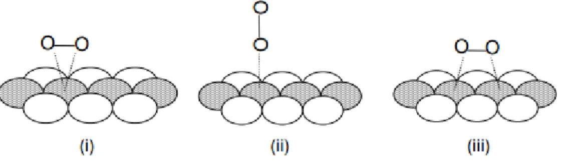 Figura 3.6 - Modelos de adsorção do oxigénio na superfície do elétrodo: i) Modelo de Graffith; Modelo de Pauling  e Modelo de Ponte (Ticianelli 1992)