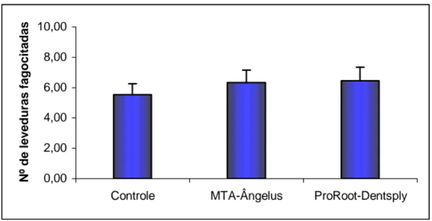 GRÁFICO 9 – Número de leveduras fagocitadas/macrófago M1 (camundongos C57BL/6), após  1 horas de incubação na presença dos capilares, com ou sem cimento MTA-Ângelus e ProRoot e  10 7  leveduras/mL de S