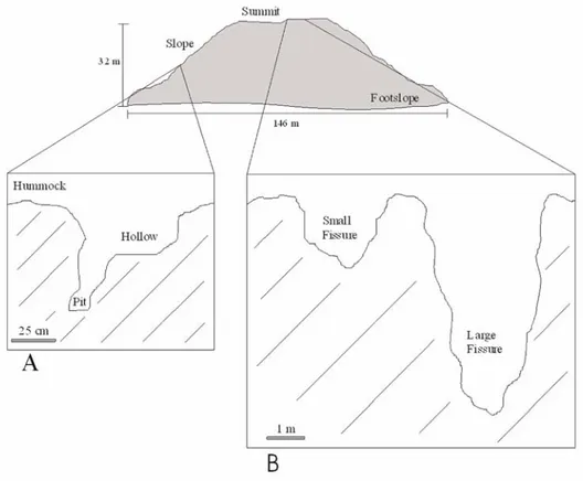 Fig. 1.  Geomorphology of a lava dome showing two details of the surface (A and B) with the five habitat types  identified: hummock, hollow, pit, small and large fissures