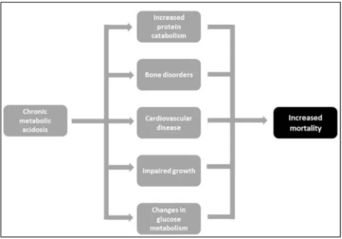 Figure 1. Long-term consequences of chronic metabolic acidosis.