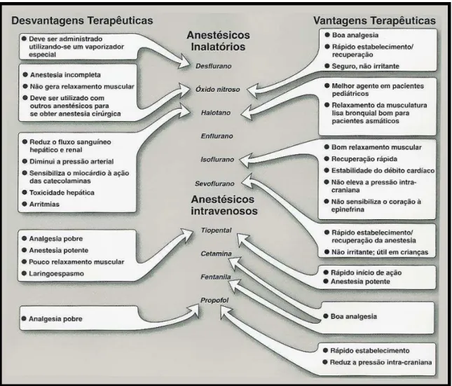 Figura  4:  Vantagens  e  desvantagens  terapêuticas  dos  anestésicos  gerais  intravenenosos  e  inalatórios