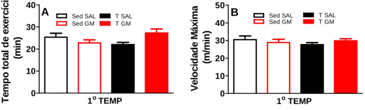 Figura  8  –  Tempo  total  de  exercício  (A)  e  velocidade  máxima  (B)  alcançados  pelos  ratos no 1º TEMP