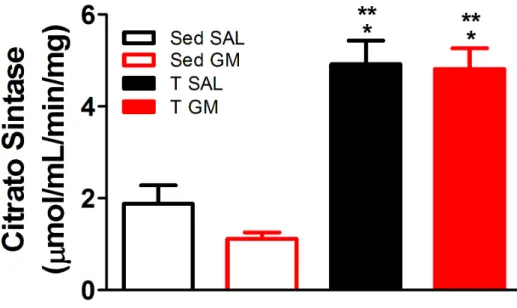 Figura 10 –  Atividade da enzima citrato sintase do músculo sóleo  ao final do treinamento (5ª semana)
