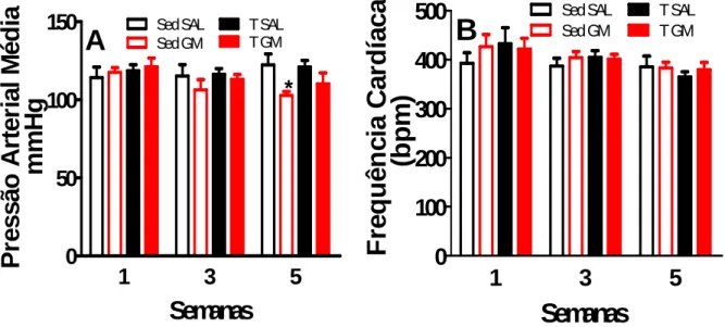 Figura  11  –  Efeito  do  treinamento  físico  aeróbio  de  intensidade  moderada  sobre  a  pressão  arterial  média  (A)  e  frequência  cardíaca  (B)  de  ratos  com  IRAa  induzida  por  GM