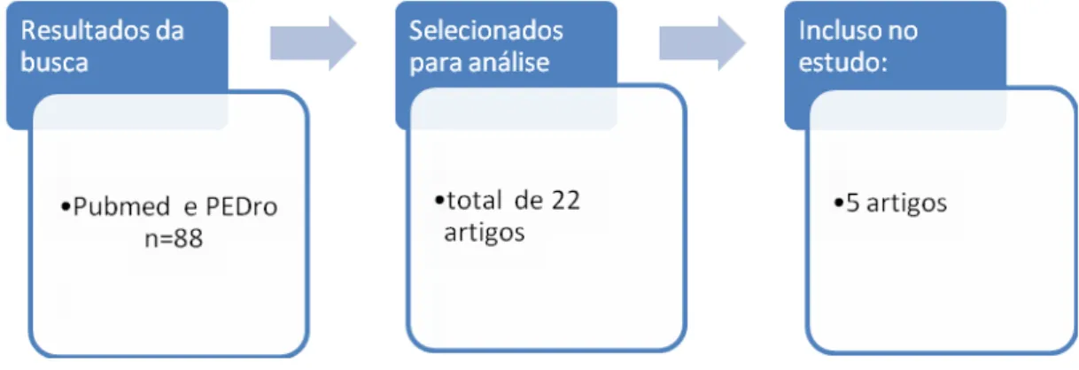 Figura 1. Fluxograma da seleção dos artigos 