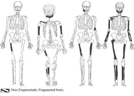 Fig.  5  - Representação dos ossos presentes nos esqueletos 10200, 10202 (não adulto), 10205 e  10207, na estrutura 102 de Monte do Vale do Ouro 2