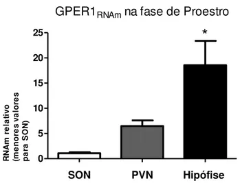 Figura  9:  Expressão  de  GPER1   RNAm   no  SON,  PVN  e  na  hipófise  anterior.  O  perfil  de  variação  gênica  foi  feito  por  PCR  de  tempo  real  e  normalizada  com  gene  18S