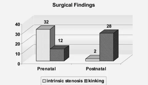 Figure 1 – Comparison of frequencies of intrinsic stenosis and ureteral kinking in patients with prenatally and postnatally diagnosed ureteropelvic junction obstruction (p &lt; 0.01 for both comparisons).