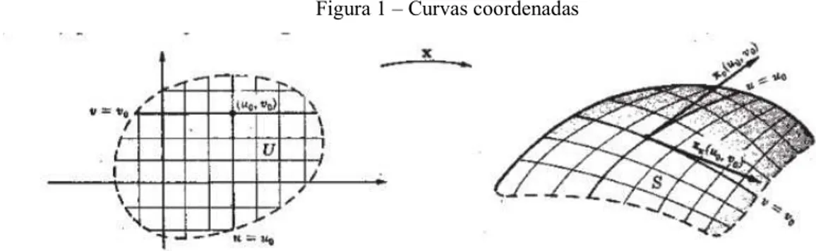Figura 1 – Curvas coordenadas 