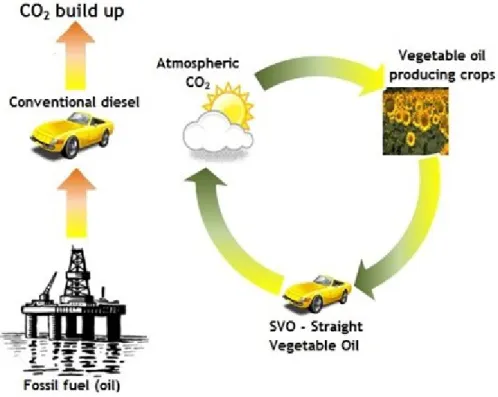 Fig. 1 - Comparison of CO 2  emission cycles between conventional diesel and biodiesel
