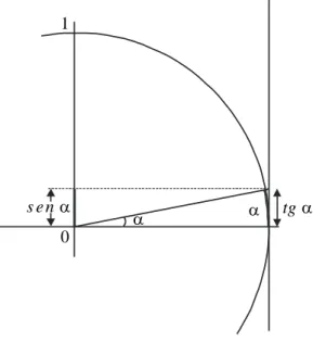 Figura 1.45  – Ciclo trigonométrico representando a situação física. 