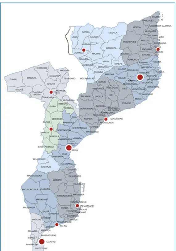 Figure 1. Map of Mozambique with 129 districts identified. The small red dots are the provincial capitals, and the large red dots identify the main cities with neurosurgical care.